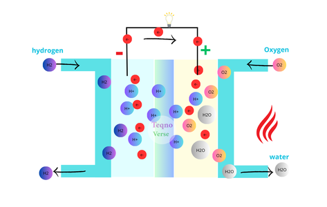 h2_cell_en