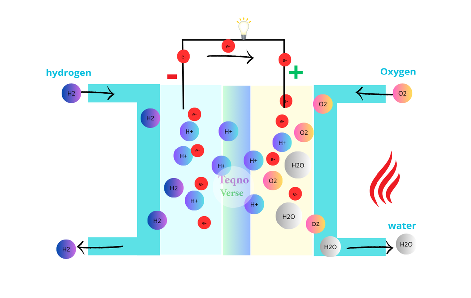 Hydrogen Fuel Cells: How Hydrogen is Converted into Electricity