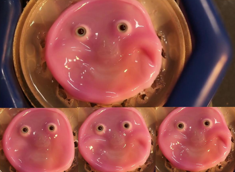 Japan Develops Living Skin for Robots with Realistic Smiles