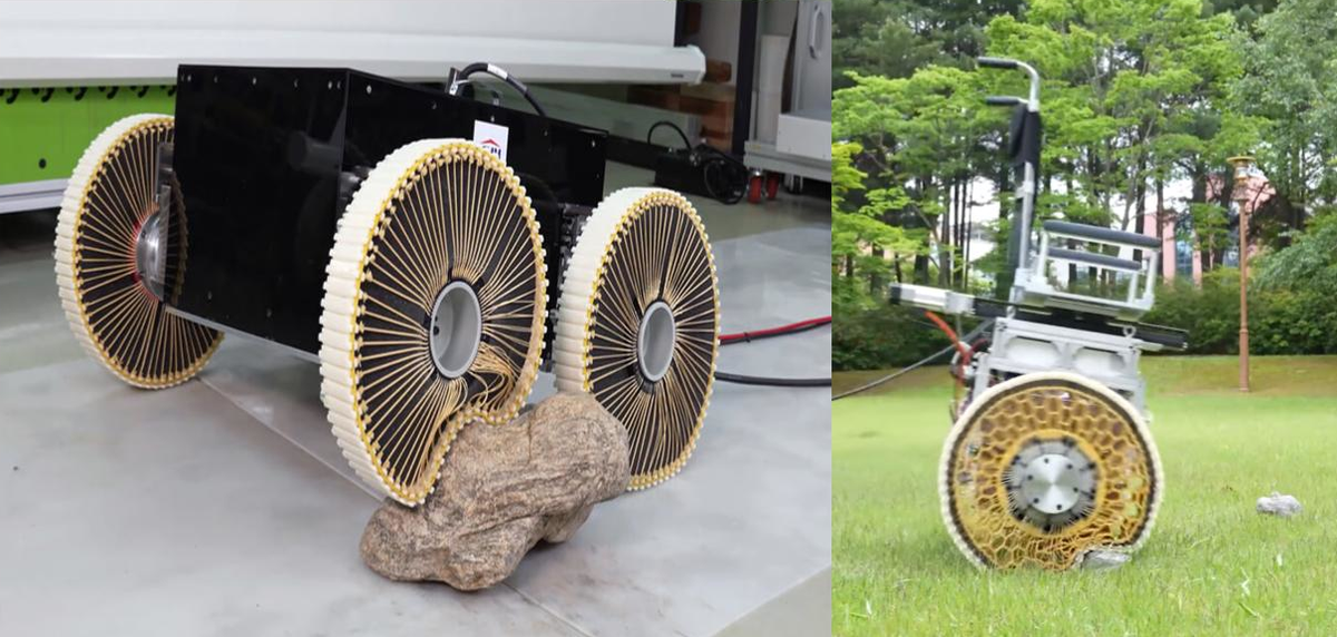 A Shape-Shifting Wheel Adapts to Uneven Terrains